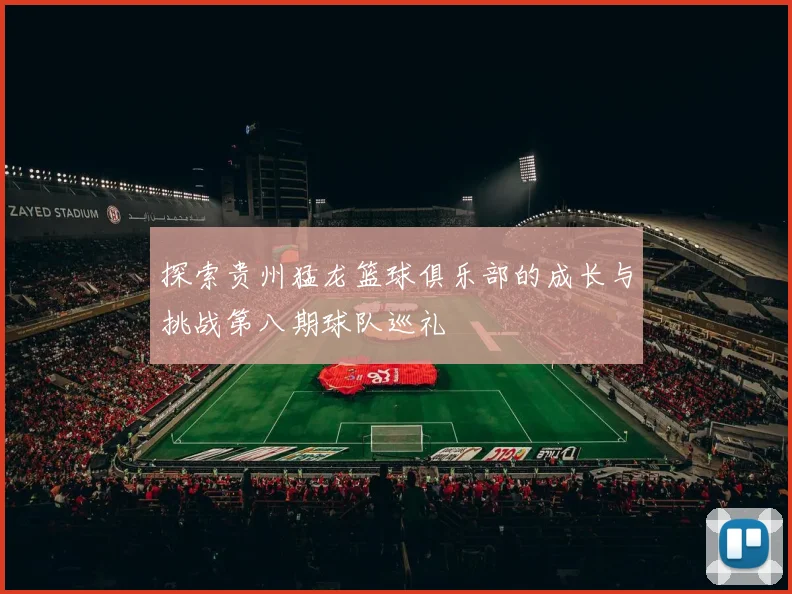 探索贵州猛龙篮球俱乐部的成长与挑战第八期球队巡礼