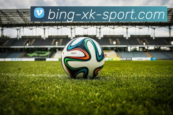 星空体育平台生态图