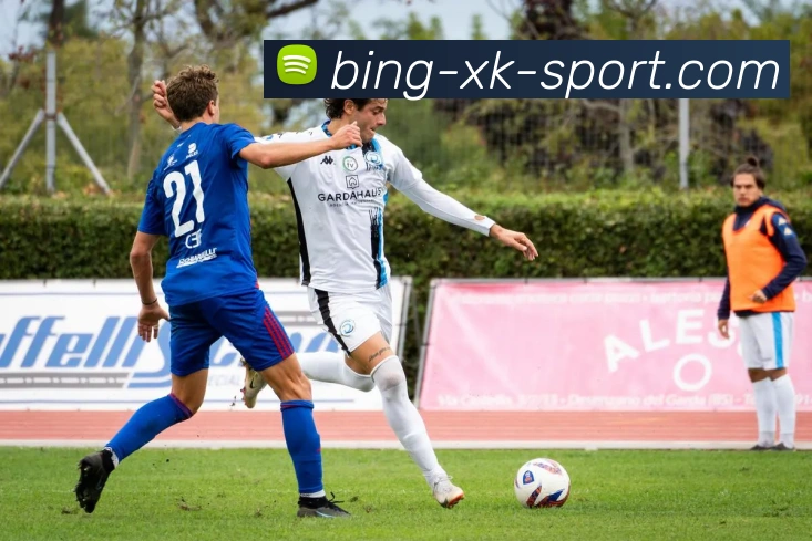 星空体育APP 封面图